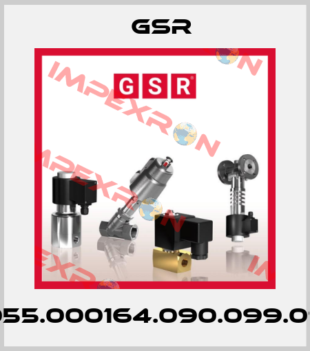 G055.000164.090.099.090 GSR