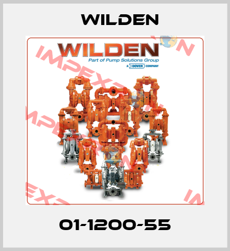 01-1200-55 Wilden