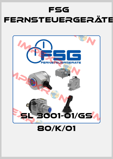 SL 3001-01/GS 80/K/01 FSG Fernsteuergeräte