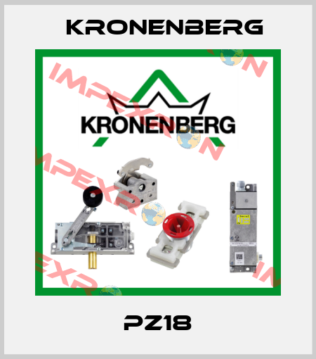 PZ18 Kronenberg