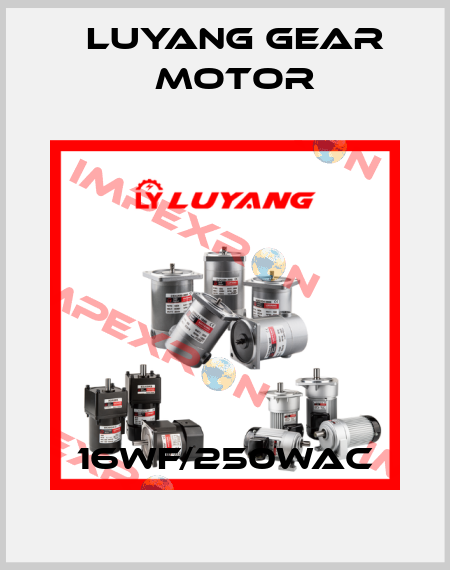 16WF/250WAC Luyang Gear Motor