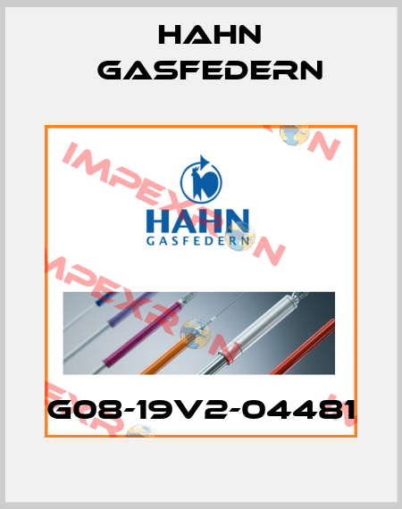G08-19V2-04481 Hahn Gasfedern