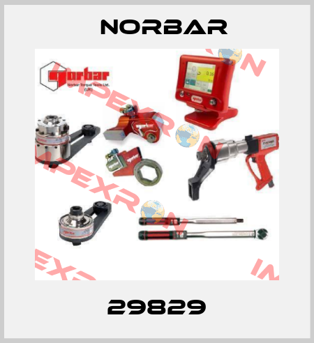 29829 Norbar