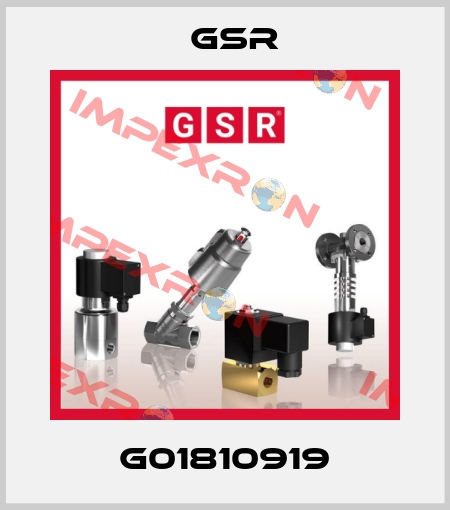 G01810919 GSR