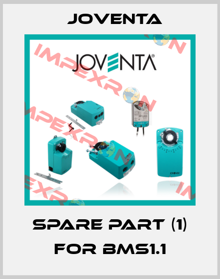 spare part (1) for BMS1.1 Joventa