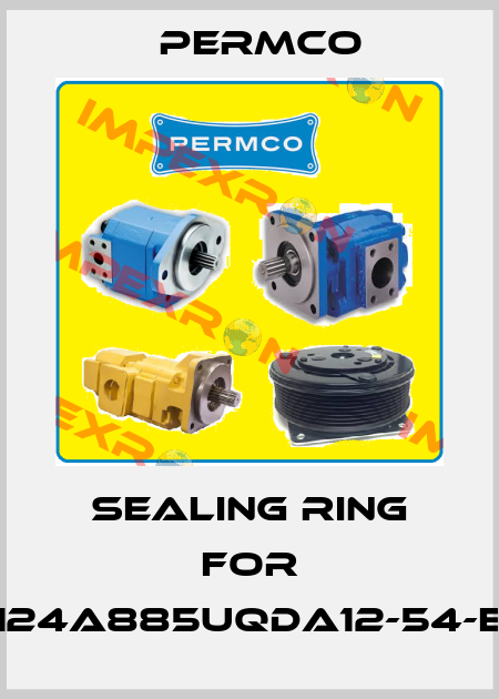 sealing ring for M124A885UQDA12-54-EPI Permco