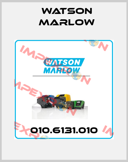 010.6131.010 Watson Marlow