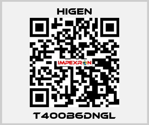 T400B6DNGL Higen