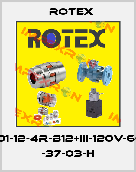 24101-12-4R-B12+III-120V-60HZ -37-03-H Rotex