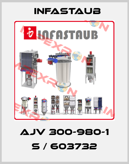 AJV 300-980-1 S / 603732 Infastaub