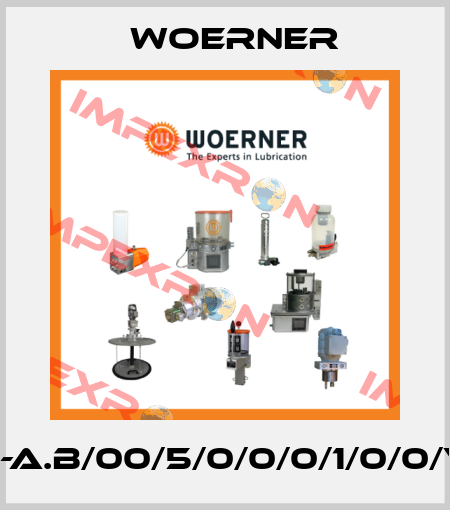 PMW-A.B/00/5/0/0/0/1/0/0/V/4/S Woerner
