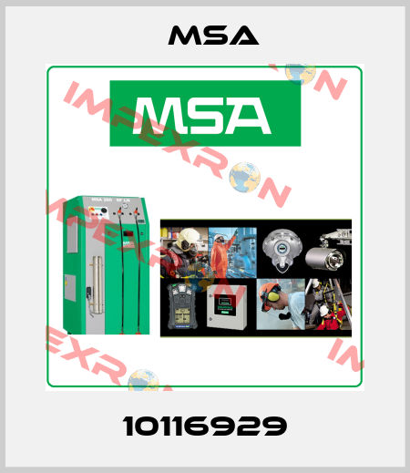 10116929 Msa