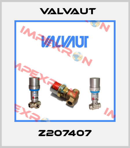 Z207407 Valvaut