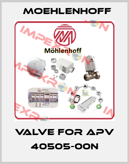 valve for APV 40505-00N Moehlenhoff