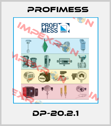 DP-20.2.1 Profimess