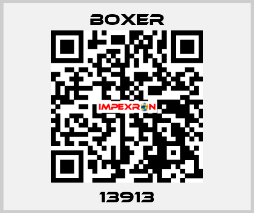 13913 Boxer