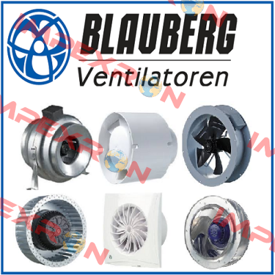 8017490 Blauberg