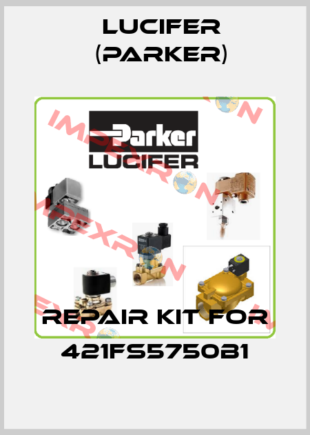 Repair kit for 421FS5750B1 Lucifer (Parker)