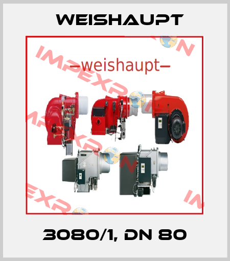 3080/1, DN 80 Weishaupt
