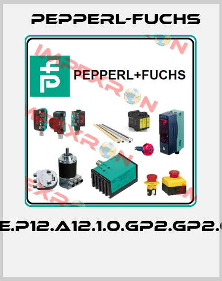 F.SPE.P12.A12.1.0.GP2.GP2.0100  Pepperl-Fuchs