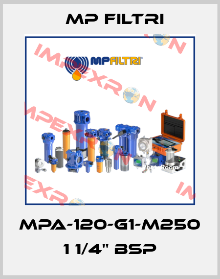 MPA-120-G1-M250   1 1/4" BSP MP Filtri