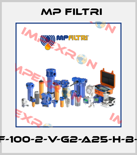 MPF-100-2-V-G2-A25-H-B-P01 MP Filtri