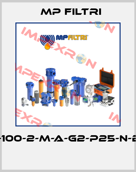 MPT-100-2-M-A-G2-P25-N-B-P01  MP Filtri