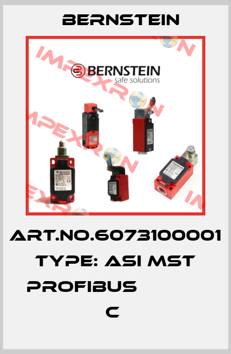 Art.No.6073100001 Type: ASI MST PROFIBUS             C  Bernstein