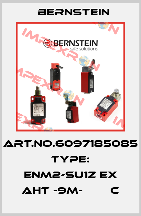 Art.No.6097185085 Type: ENM2-SU1Z EX AHT -9M-        C Bernstein
