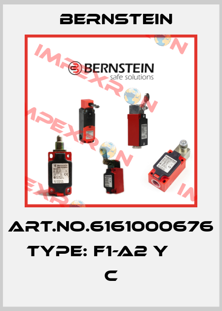 Art.No.6161000676 Type: F1-A2 Y                      C Bernstein