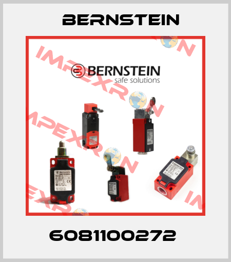 6081100272  Bernstein