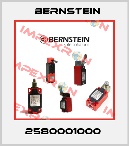 2580001000  Bernstein