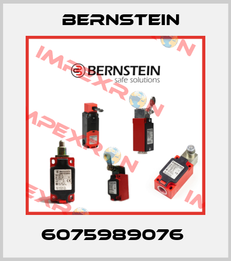 6075989076  Bernstein