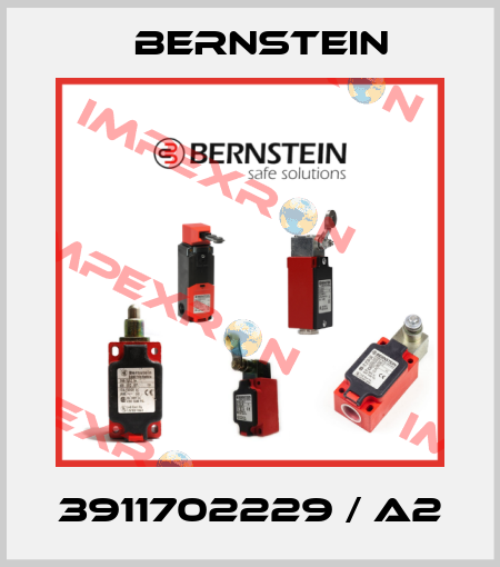 3911702229 / A2 Bernstein
