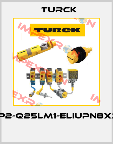 LI400P2-Q25LM1-ELIUPN8X3-H1151  Turck