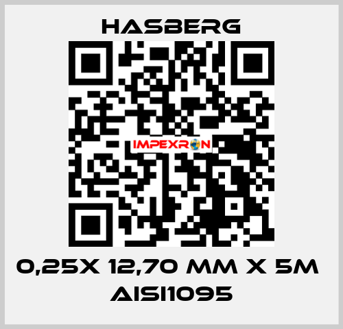 0,25X 12,70 MM X 5M  AISI1095 Hasberg