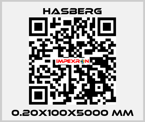0.20X100X5000 MM Hasberg
