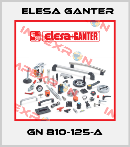 GN 810-125-A Elesa Ganter