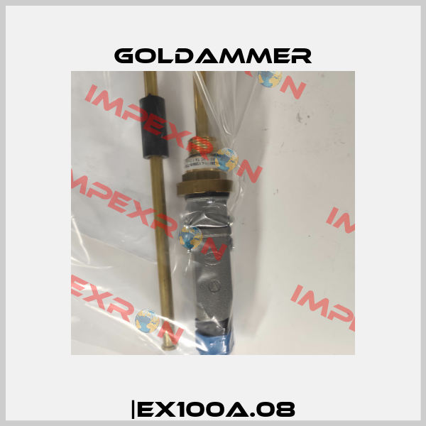 |EX100A.08 Goldammer