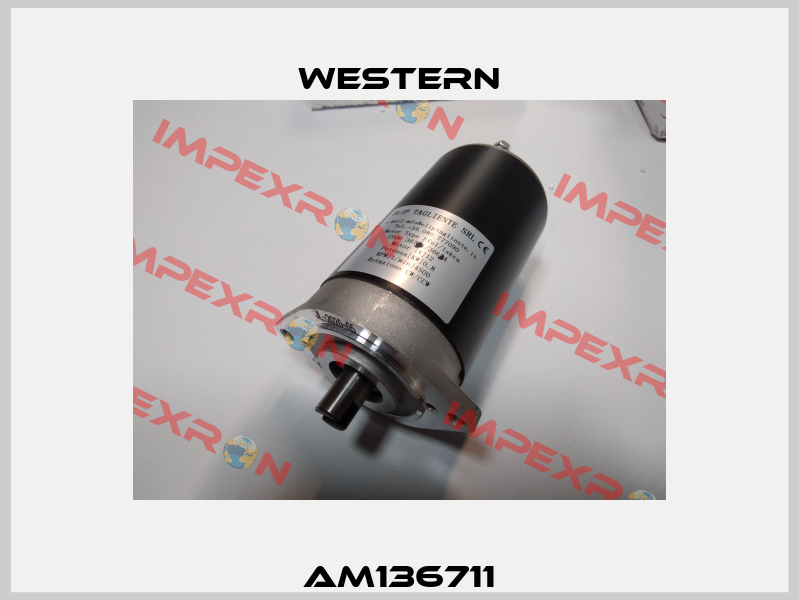 AM136711 Western