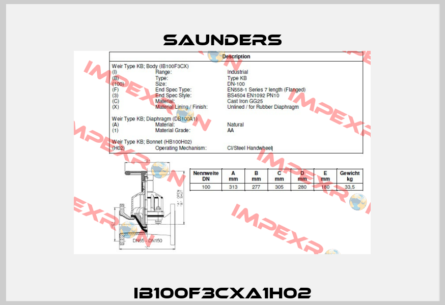 IB100F3CXA1H02  Saunders