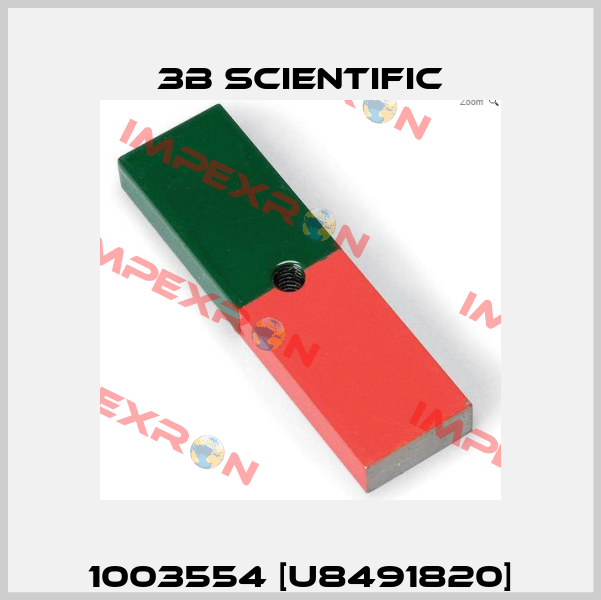 1003554 [U8491820] 3B Scientific