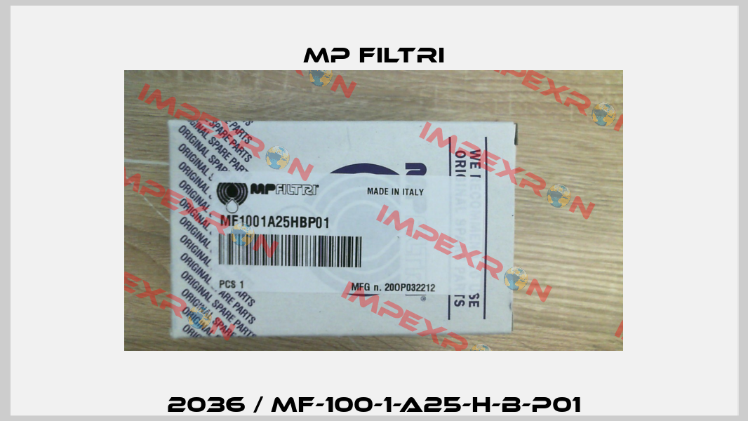 2036 / MF-100-1-A25-H-B-P01 MP Filtri