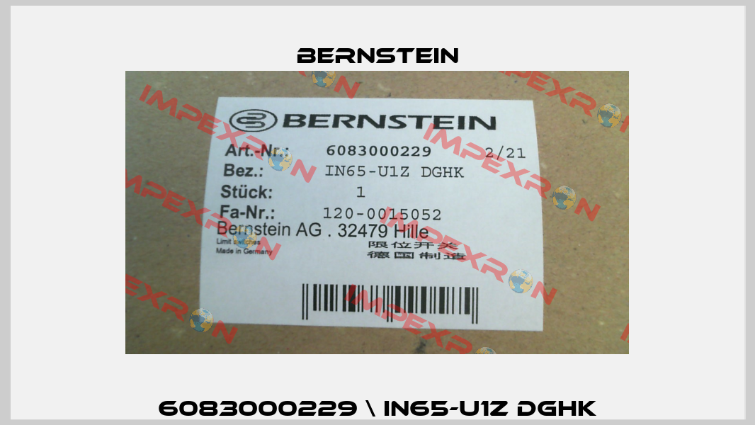 6083000229 \ IN65-U1Z DGHK Bernstein