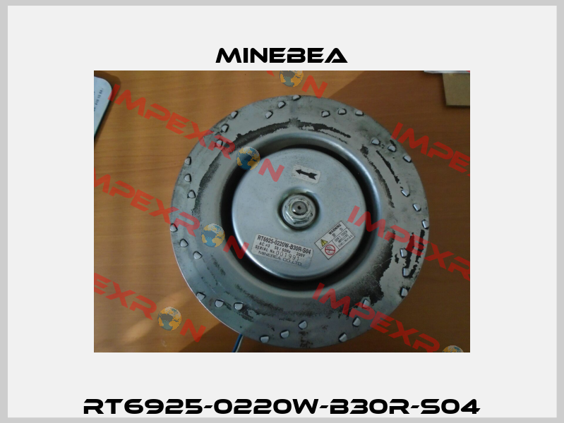 RT6925-0220W-B30R-S04 Minebea