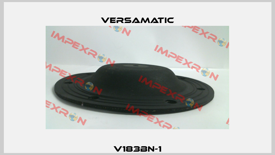 V183BN-1 VersaMatic