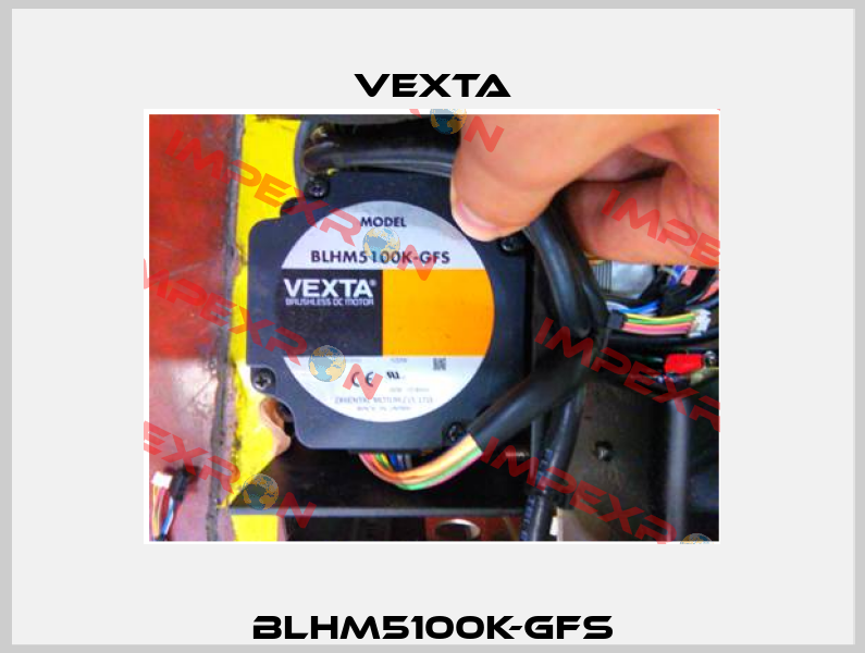 BLHM5100K-GFS Vexta