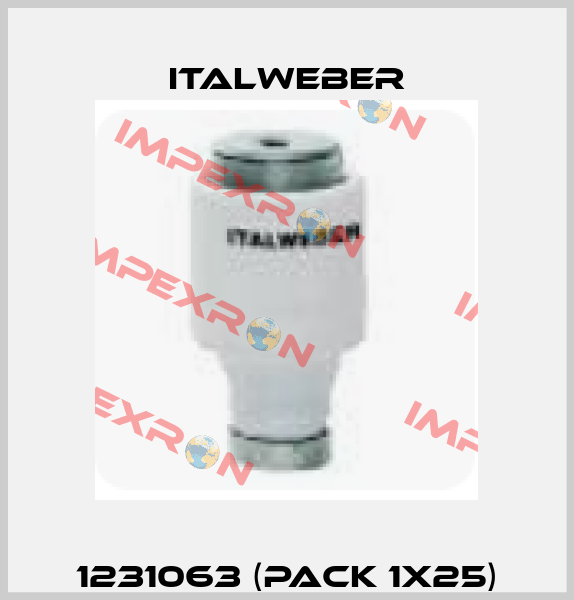 1231063 (pack 1x25) Italweber